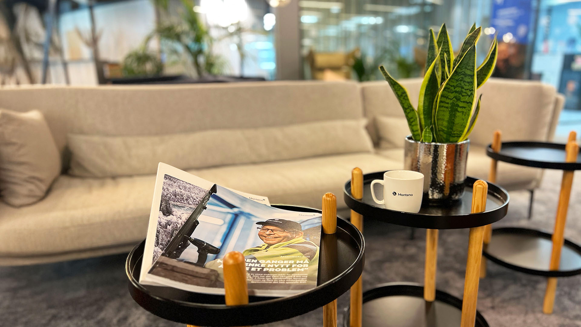 Mantena – årsrapport